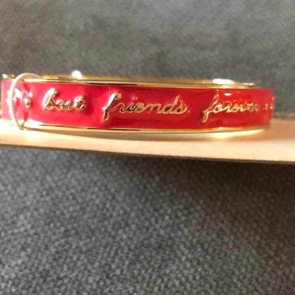 Pet friendly bracelet - Picture 2 of 3